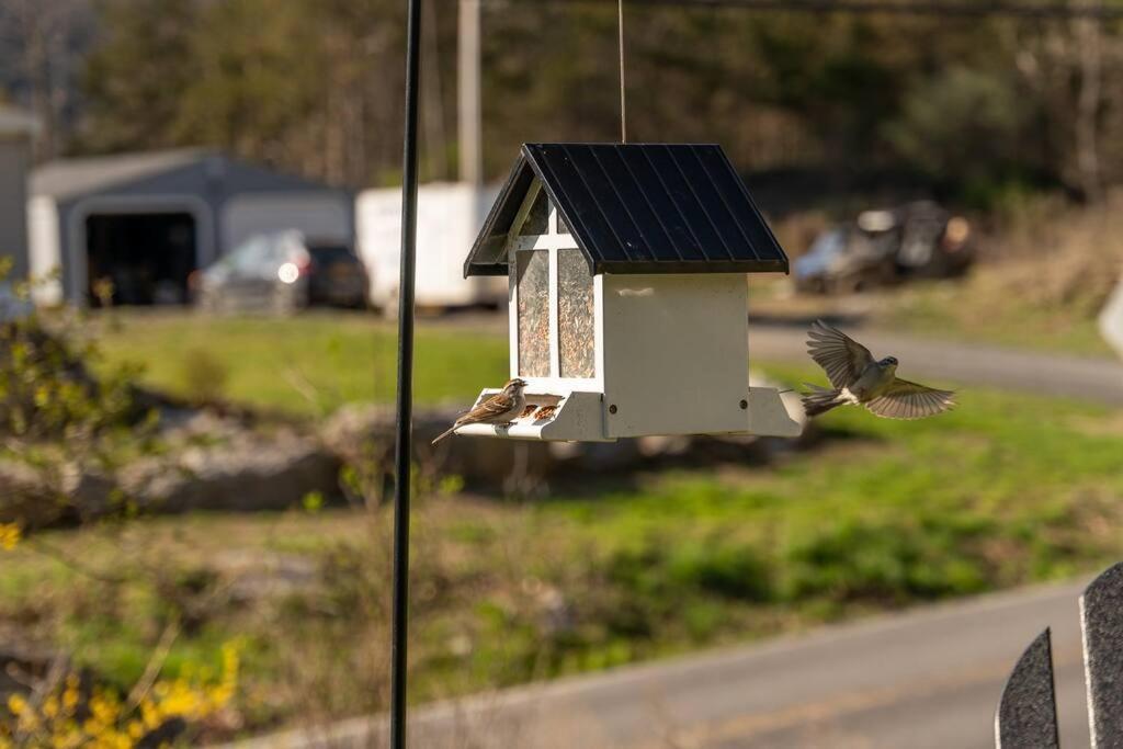 Cozy Cottage, Hot Tub, Fire Pit, 15Min To Hudson And Hiking Катскилл Экстерьер фото